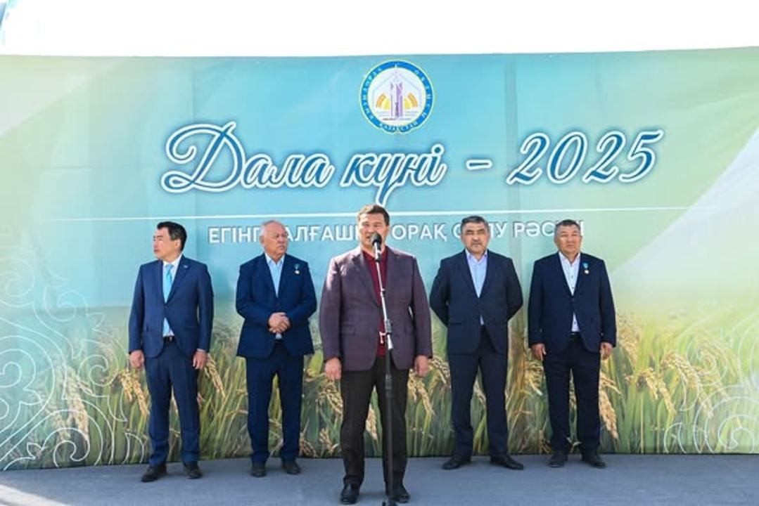 «Дала күні – 2025»: Күрішке алғашқы орақ салу рәсімі өтті