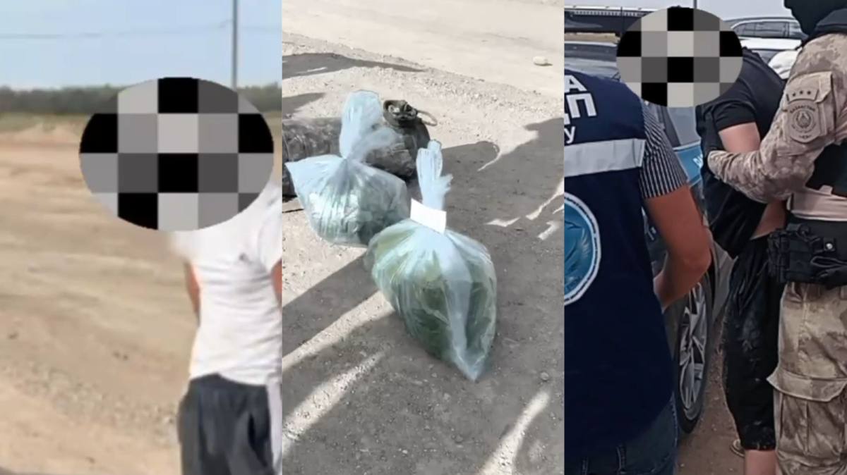 Полиция изъяла 15 кг марихуаны из Mercedes в области Улытау