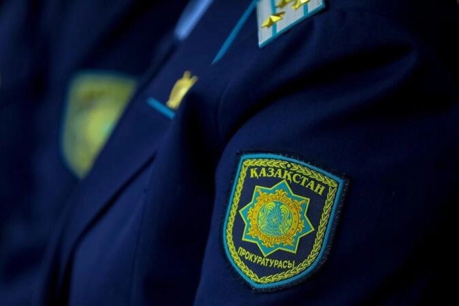 Конституцияның 30 жылдығы: Рақымшылық туралы заңның жүзеге асырылу барысы белгілі болды