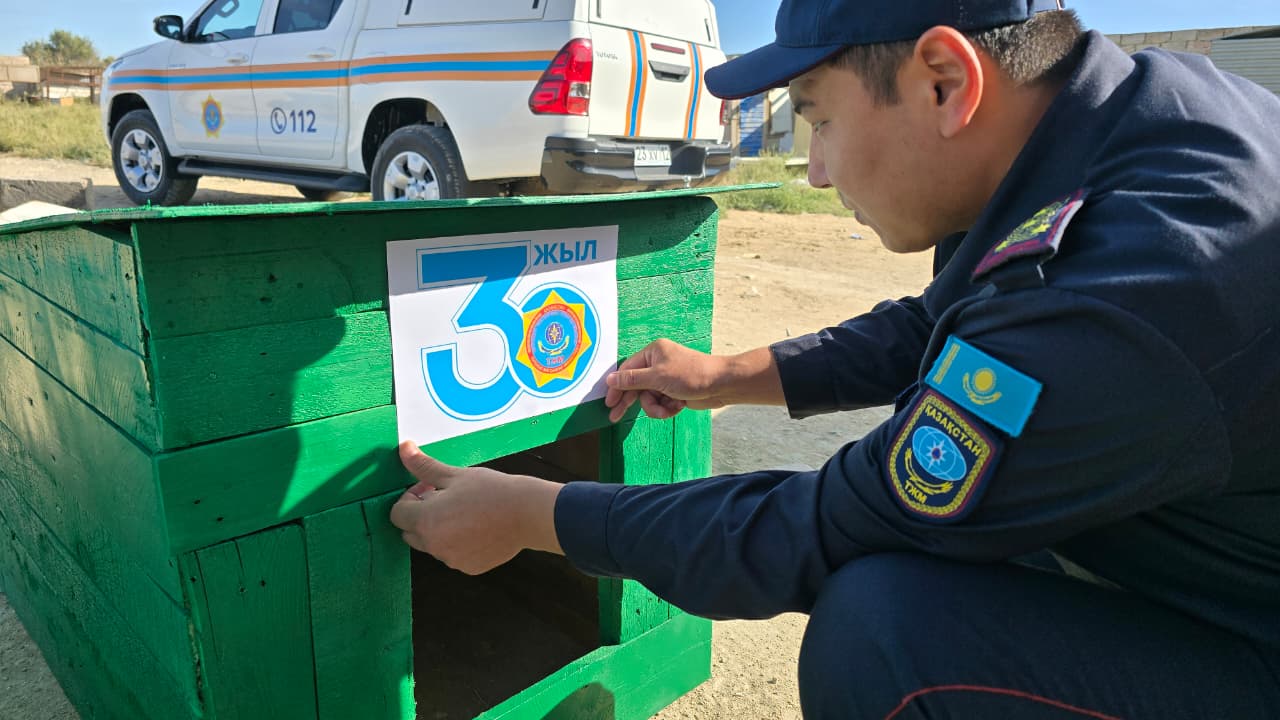 30 добрых дел – забота о животных!