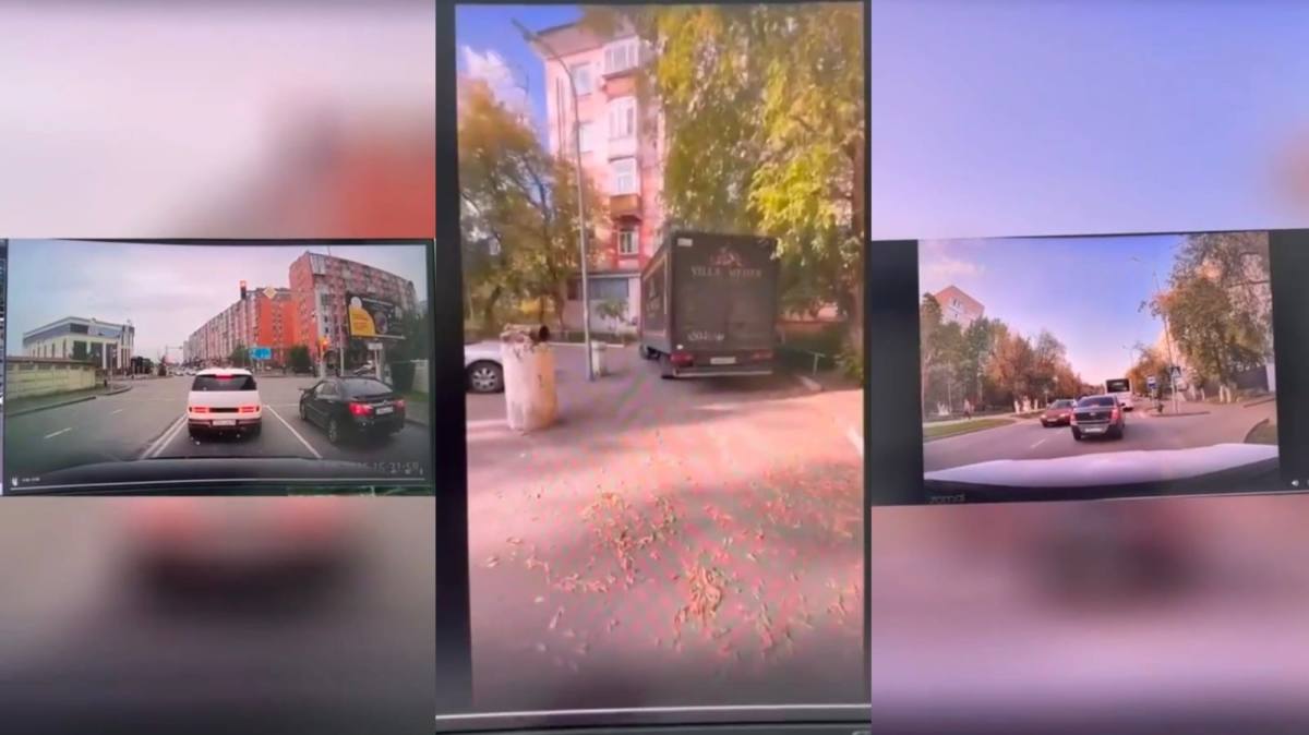 Павлодарлықтар “Заң және тәртіп” цифрлық сервисін белсенді пайдалануда