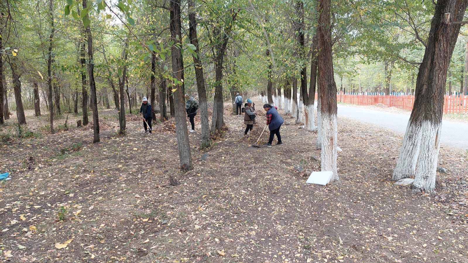 «Таза бейсенбі»:  в Жетісу вывезено 500 тонн мусора, высажено  300 деревьев