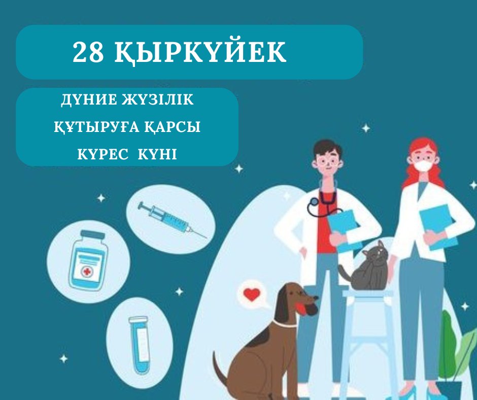 Дружковканың жезөкшелері