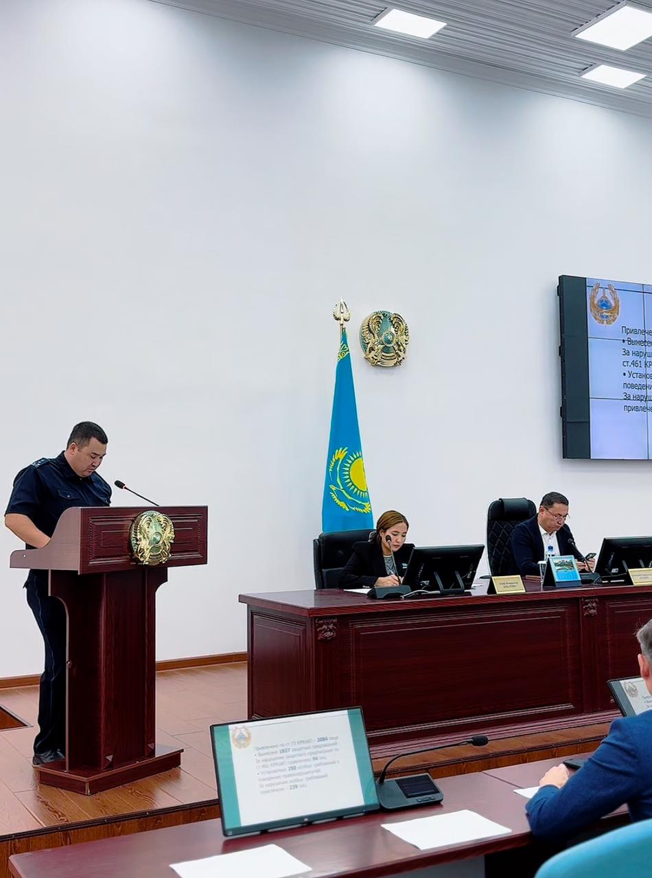 Заседание постоянной комиссии  по вопросам обеспечения прав и законных интересов граждан