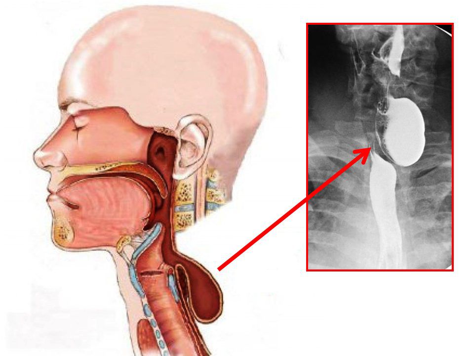 Орыс порно: Студенттер іш киім сатушыны қатты трахает