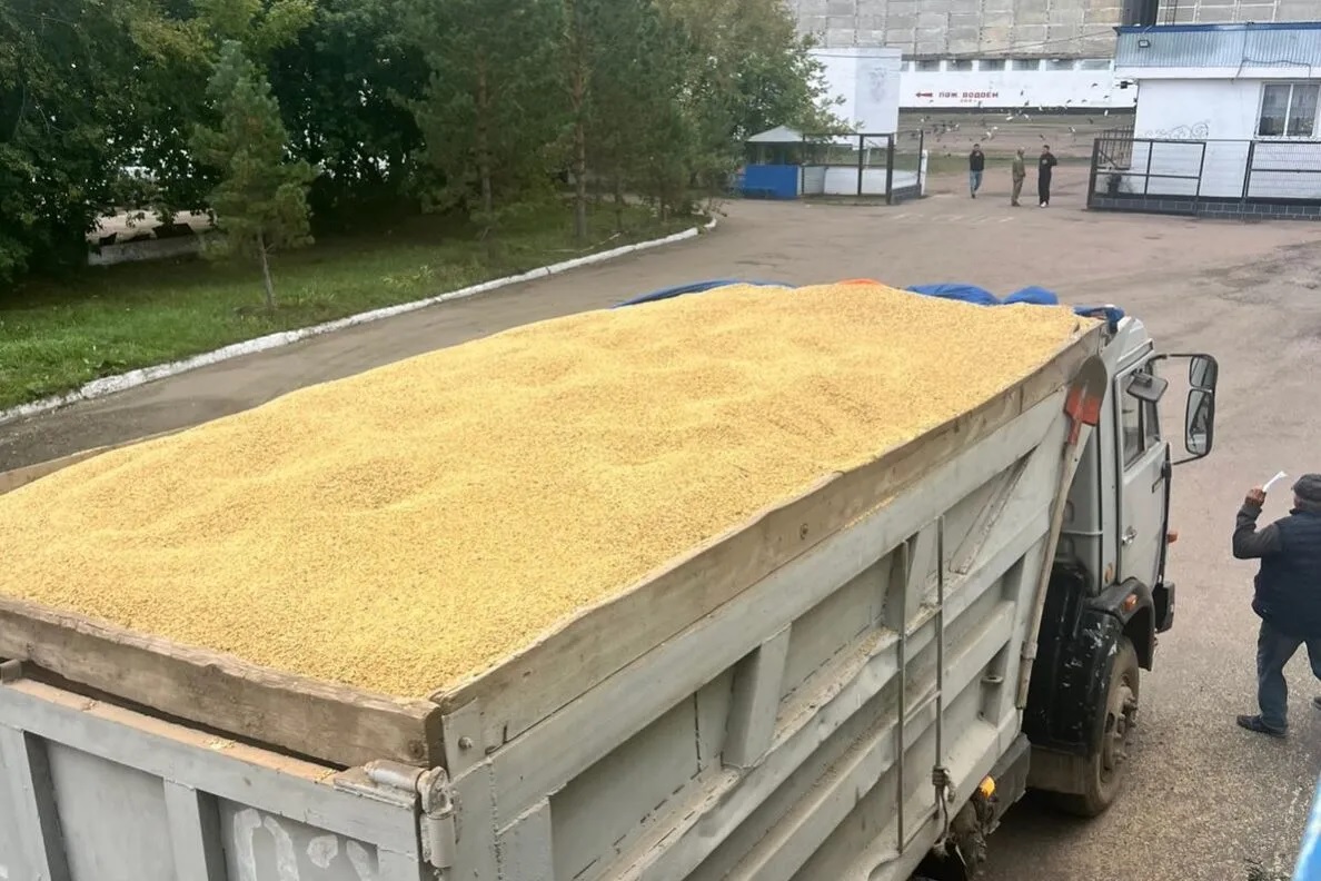 Азық-түлік келісімшарт корпорациясы жаңа егін астығын қабылдау үшін астық қоймаларын босатуда