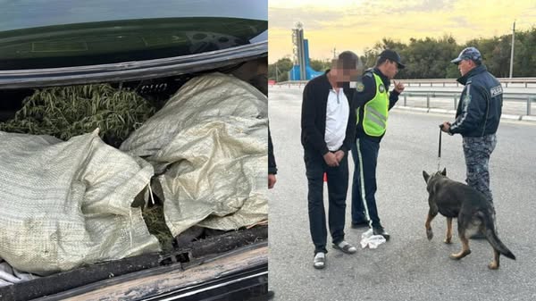 Полиция пресекла два факта перевозки наркотиков и изъяла более 17 кг наркотических средств