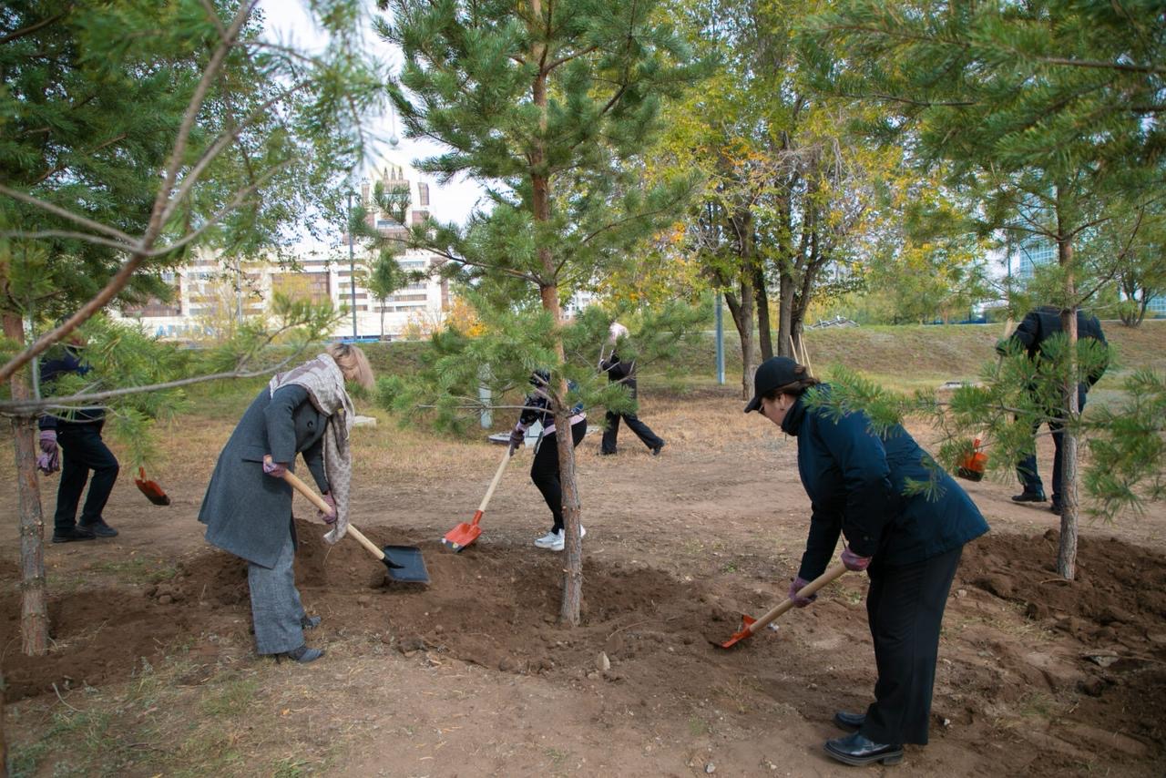 Семейные ценности и забота о природе: в столичном парке высадили десятки сосен