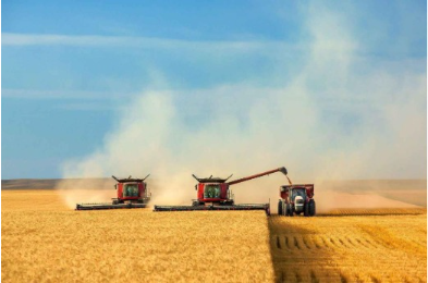 «Кең дала 2» бағдарламасы 1 қазанда басталады