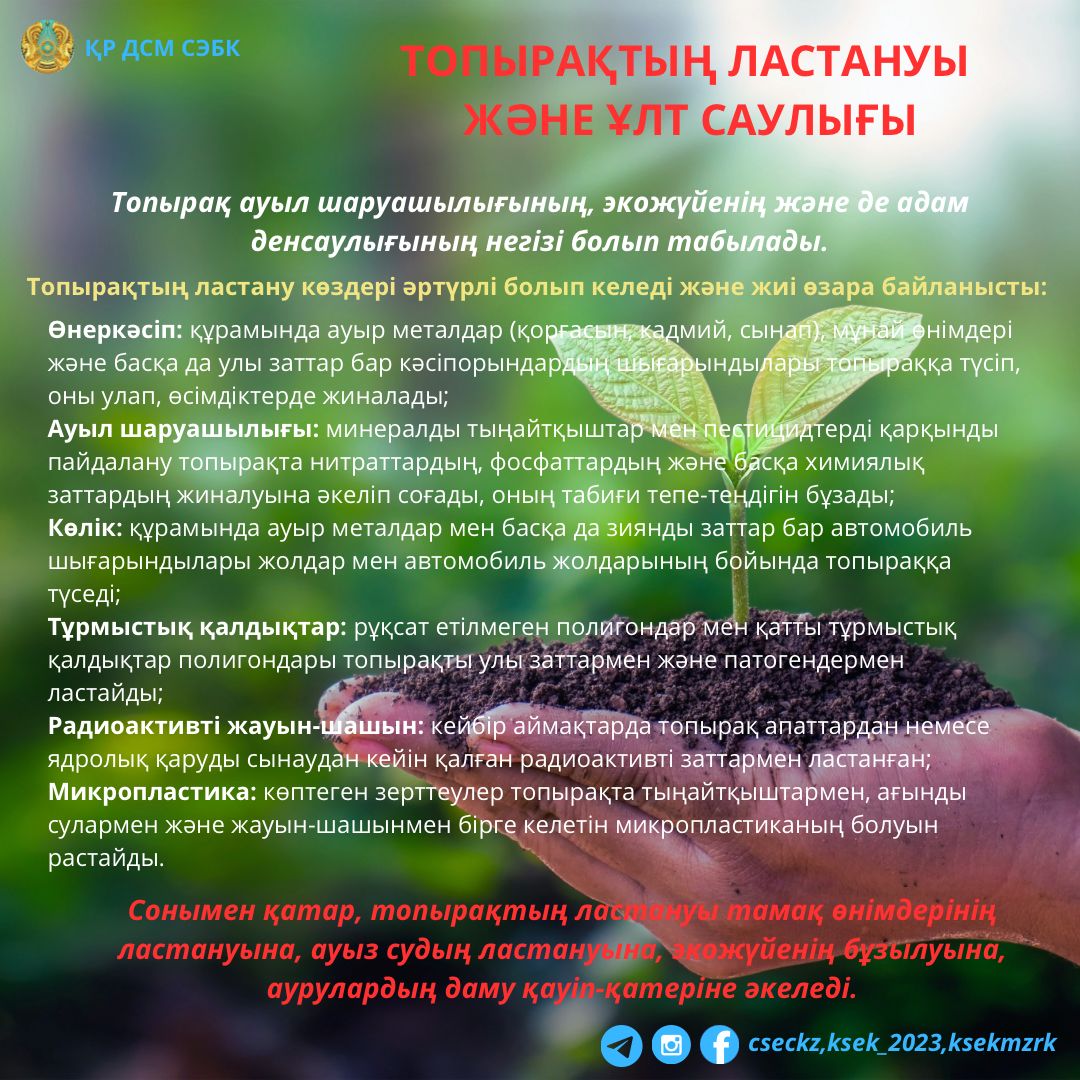 Былғары шалбар порно видео