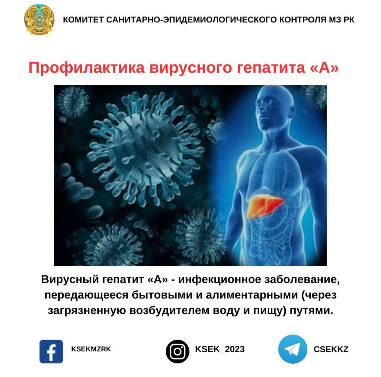 Профилактика гепатита А