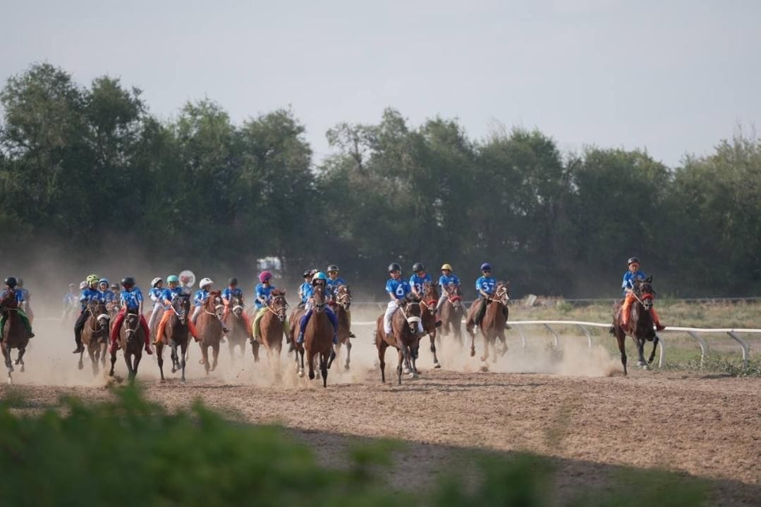 Бұқаралық спорт пен жастар бастамаларын қолдау