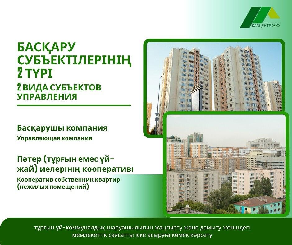Басқару субьектілерінің 2 түрі бар