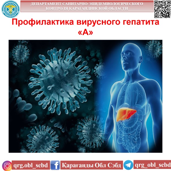Профилактика вирусного гепатита «А»