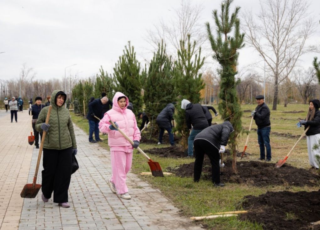 «Таза Қазақстан» бағдарламасын іске асыру