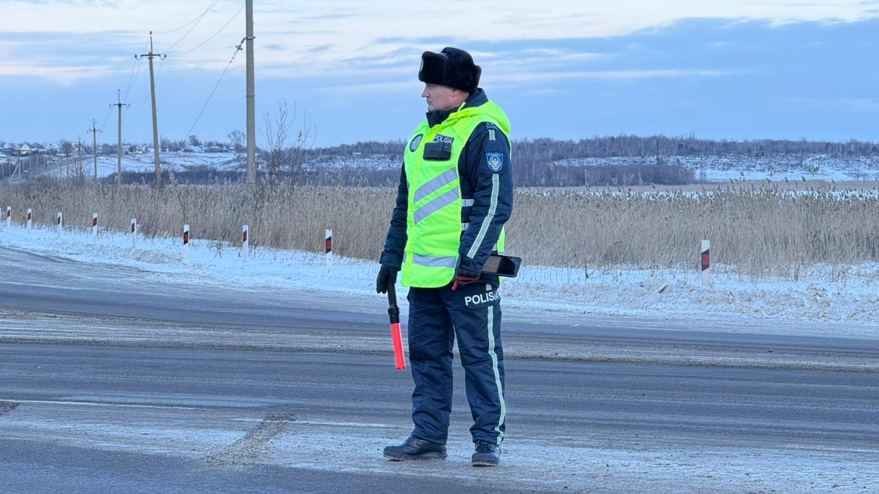 Иностранцев с подложными номерами задержали полицейские в СКО