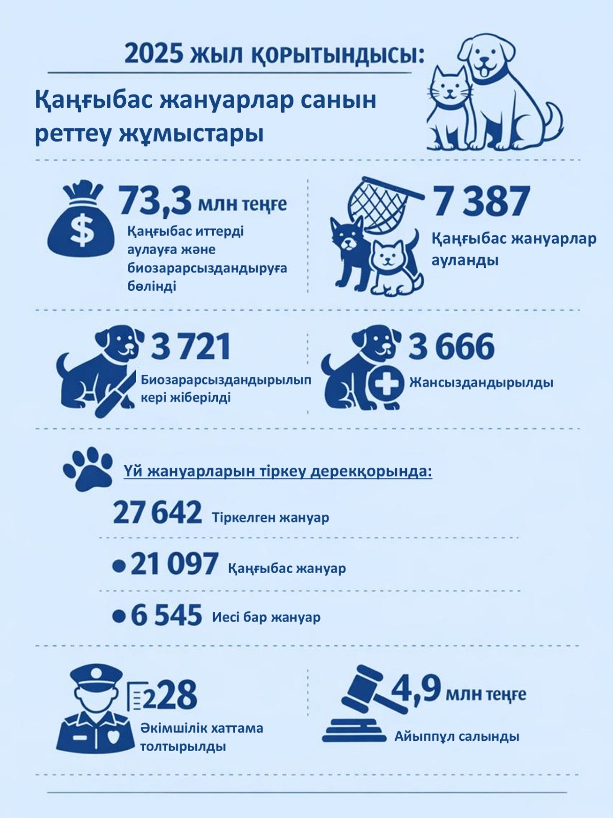 ИТОГИ 2025 ГОДА: РАБОТА ПО РЕГУЛИРОВАНИЮ ЧИСЛЕННОСТИ БЕЗНАДЗОРНЫХ ЖИВОТНЫХ