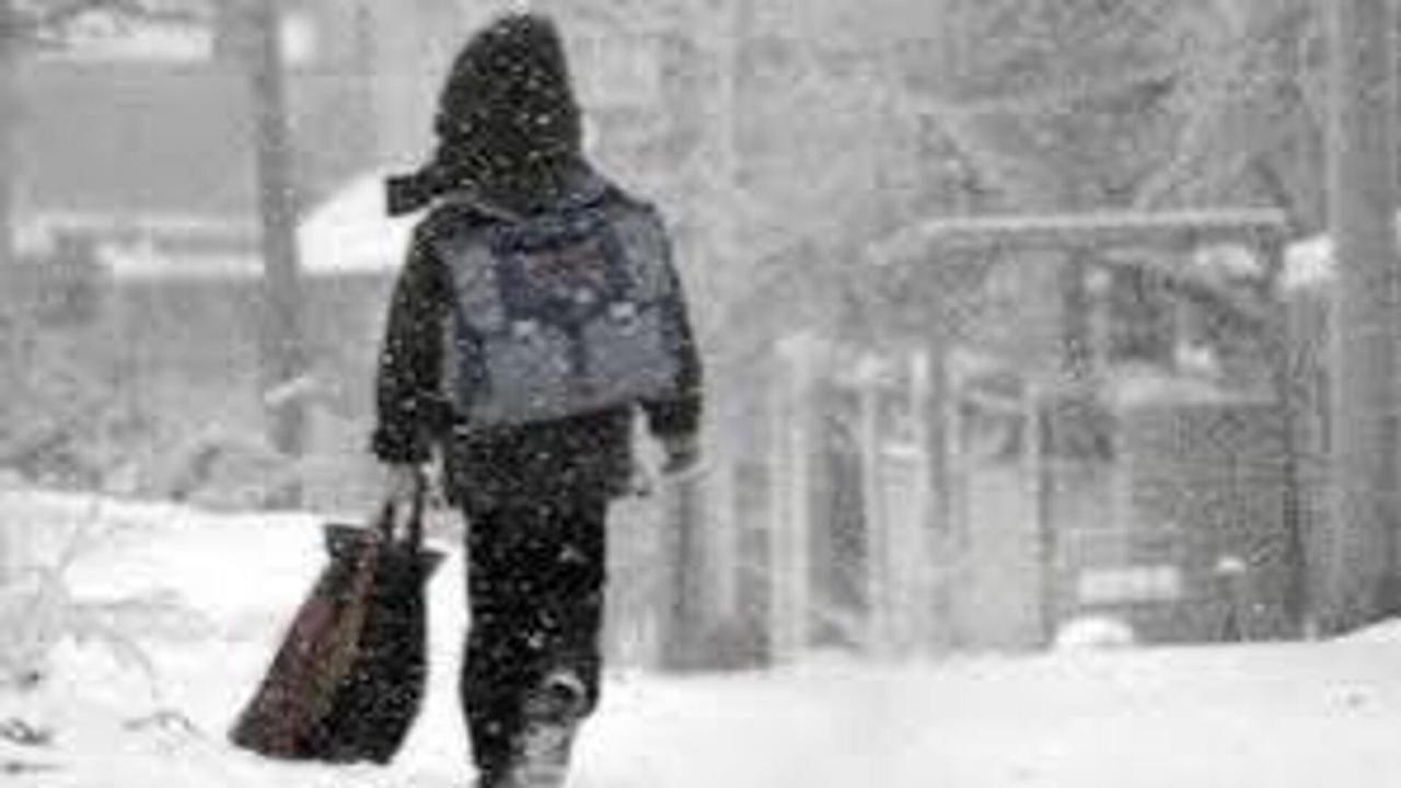 Учащиеся 0-9 классов будут учиться в онлайн-формате в Астане