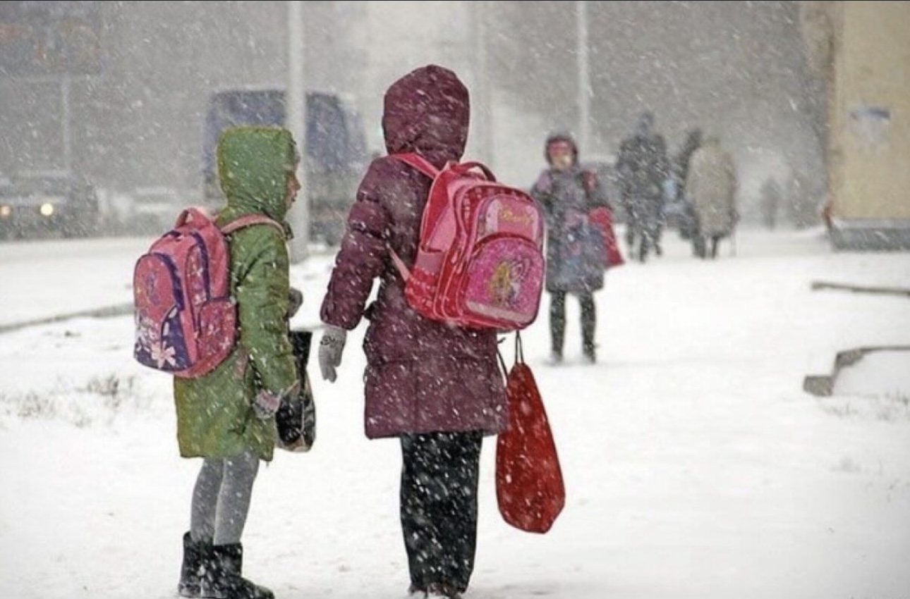 В Астане школьники и студенты 1-2 курсов колледжей переведены на онлайн-формат обучения