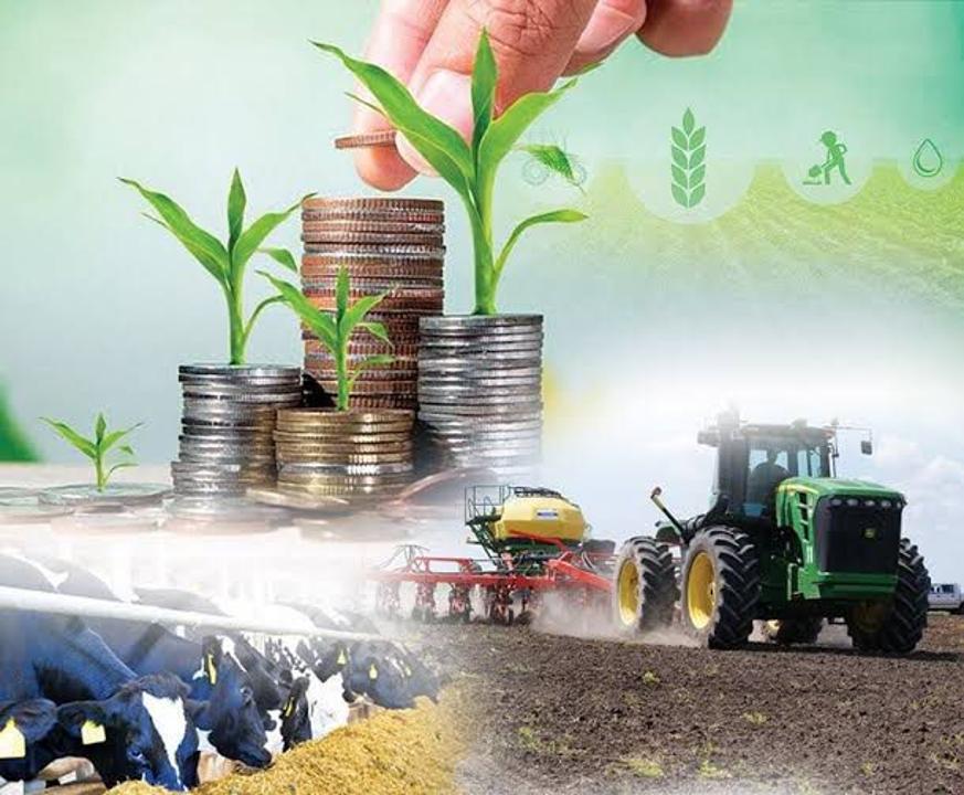 Жетісу облысында микрокредиттерге өтінімдерді қабылдау қайтадан ашылды