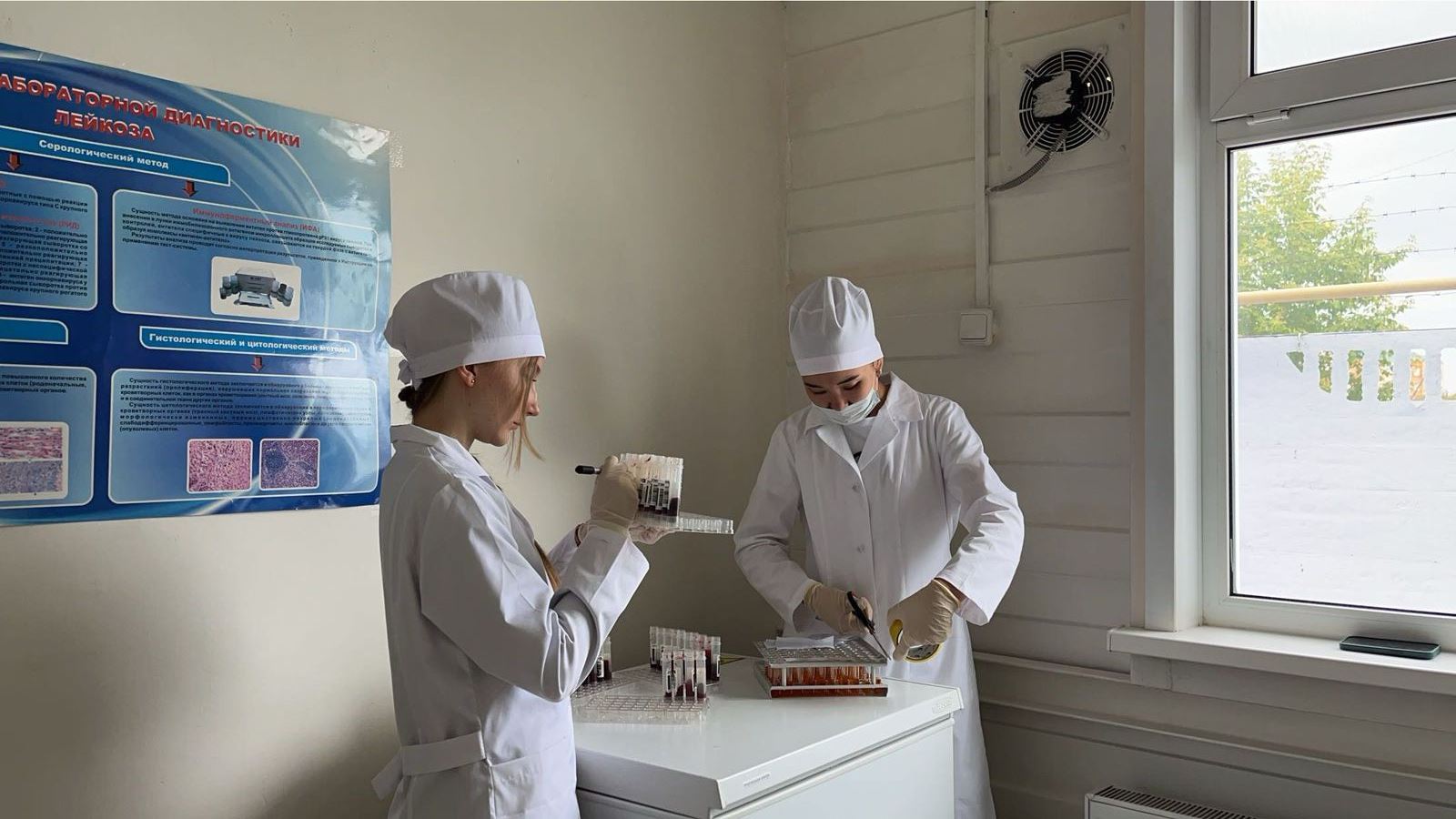 Информация по исполнению мероприятий по обеспечению занятости населения