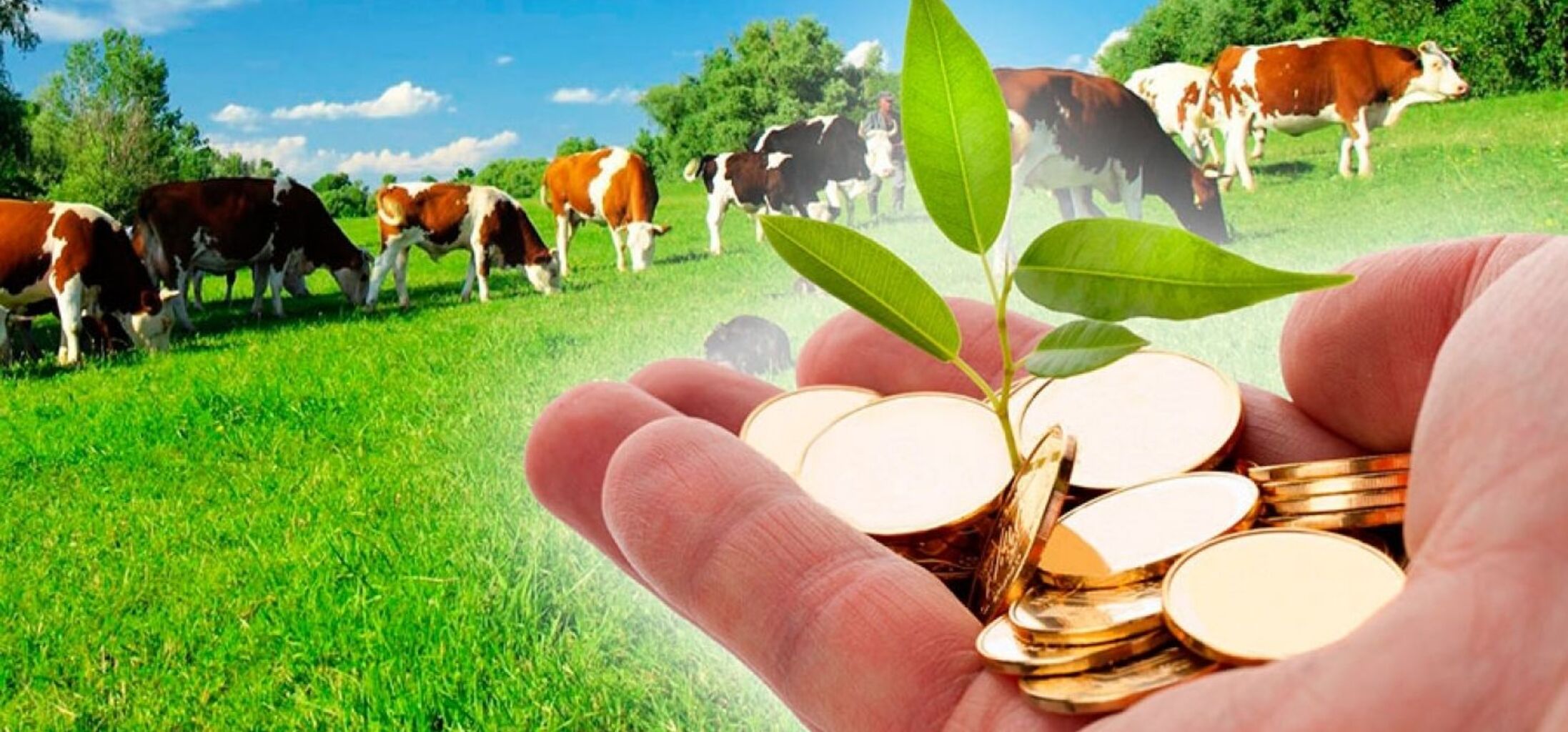 Уважаемые сельскохозяйственные товаропроизводители Павлодарской области!