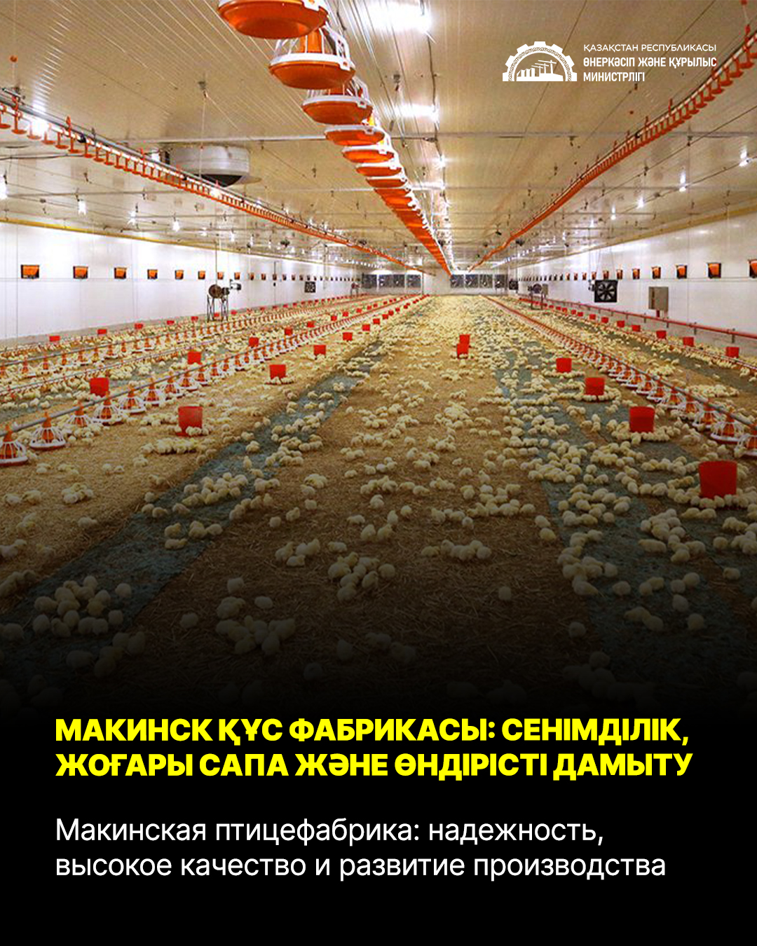 Макинская птицефабрика: надежность, высокое качество и развитие производства