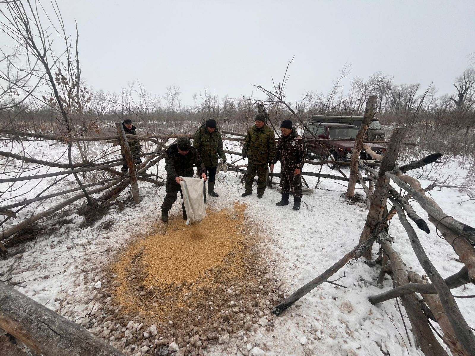 Биотехникалық іс-шаралар өткізілуде