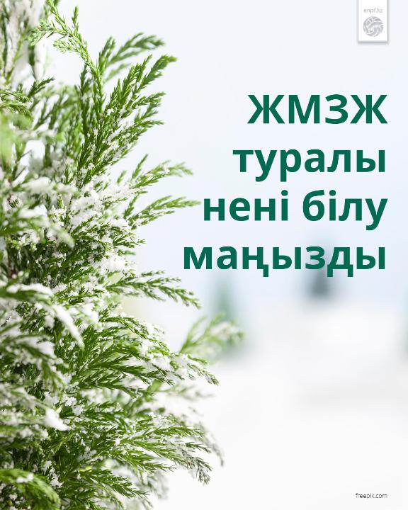 ЖМЗЖ туралы нені білу маңызды