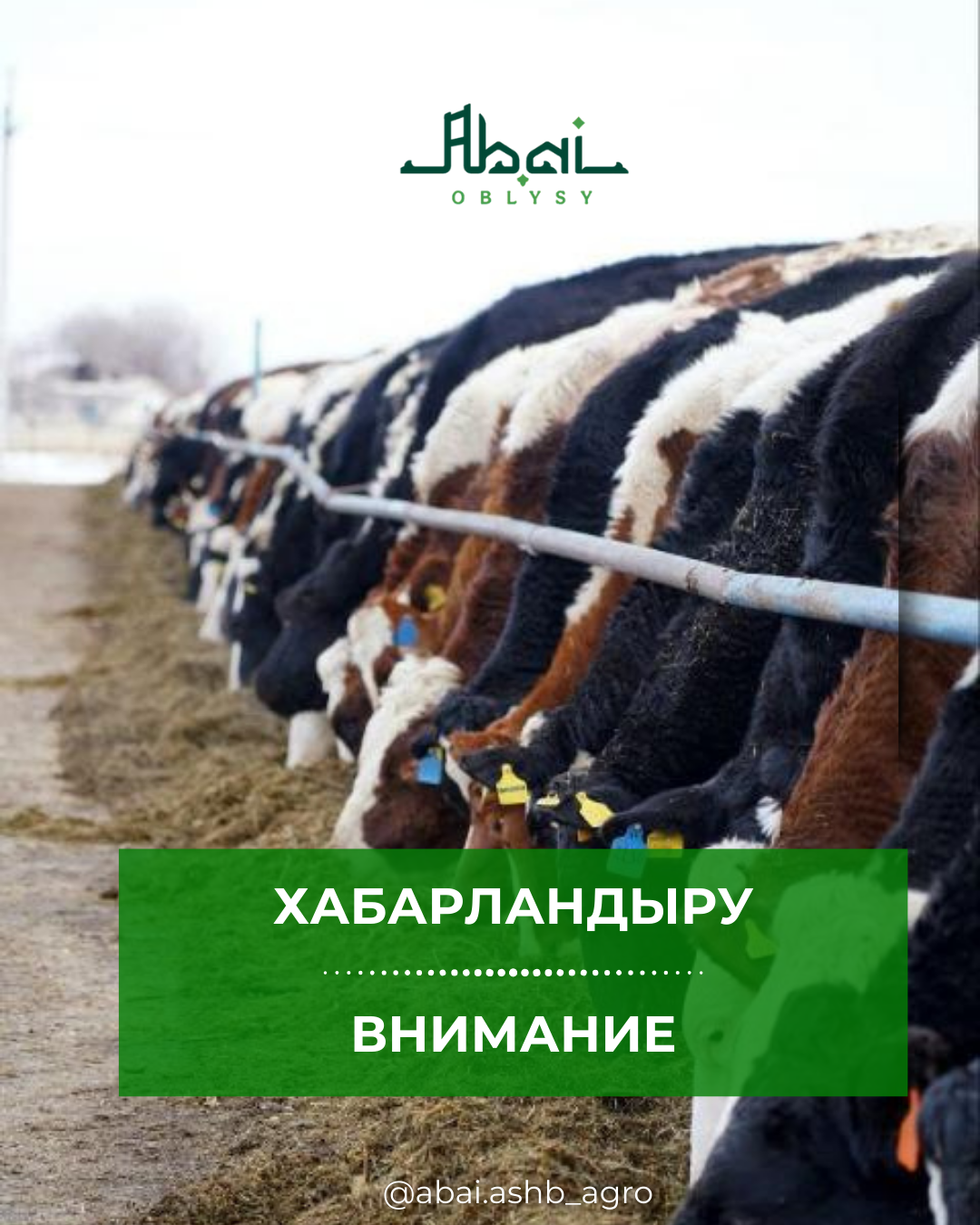 Объявление для сельскохозяйственных товаропроизводителей области Абай