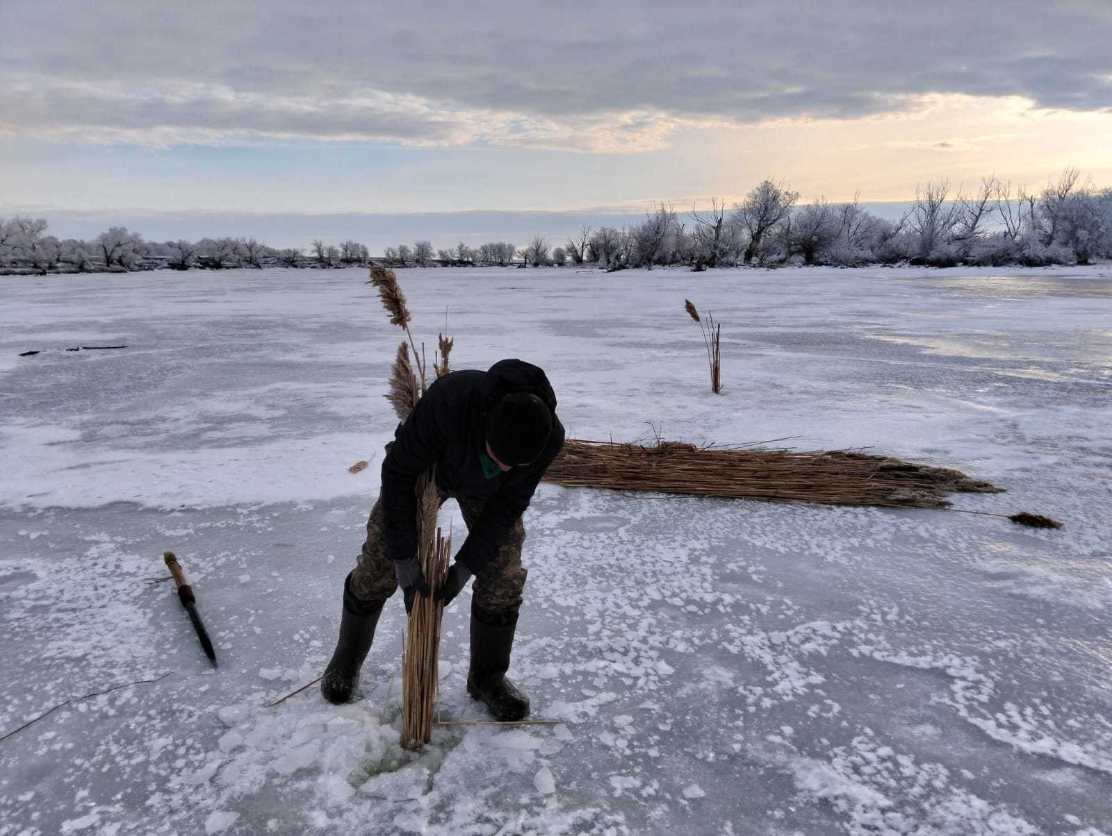 Балықтардың жаппай қырылуының алдын алу мақсатындағы іс-шара