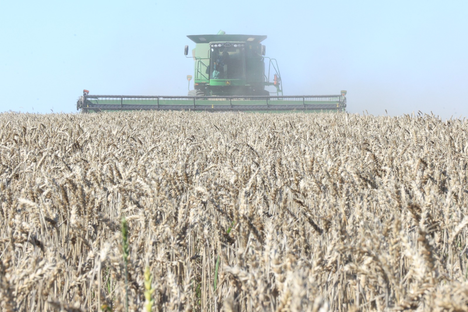 Аграрлық сектордың терең өңдеу әлеуеті