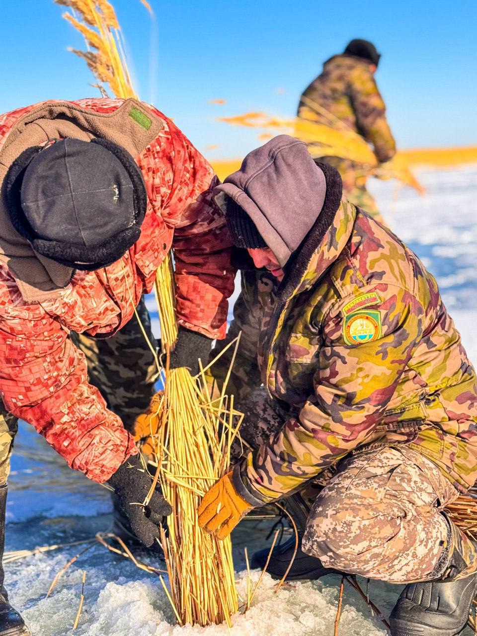 В водоёмах проводятся работы по аэрации