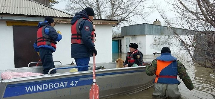 Су тасқыны жағдайындағы әрекеттер алгоритмі