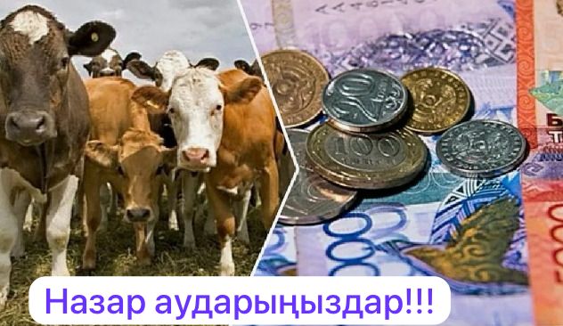 Шығыс Қазақстан облысының ауыл шаруашылығы тауар өндірушілеріне арналған ақпарат