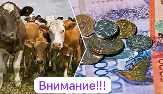 Информация для сельскохозяйственных товаропроизводителей Восточно-Казахстанской области