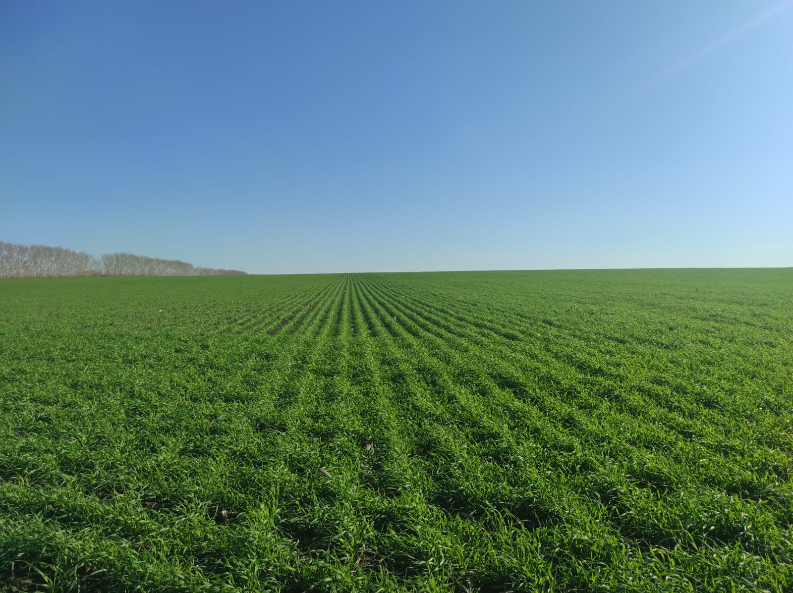 В ВКО предлагают разработать региональную стратегию развития агросектора