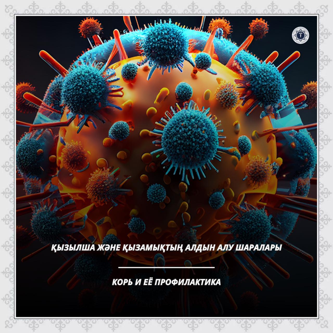 Қызылша және қызамықтың алдын алу шаралары