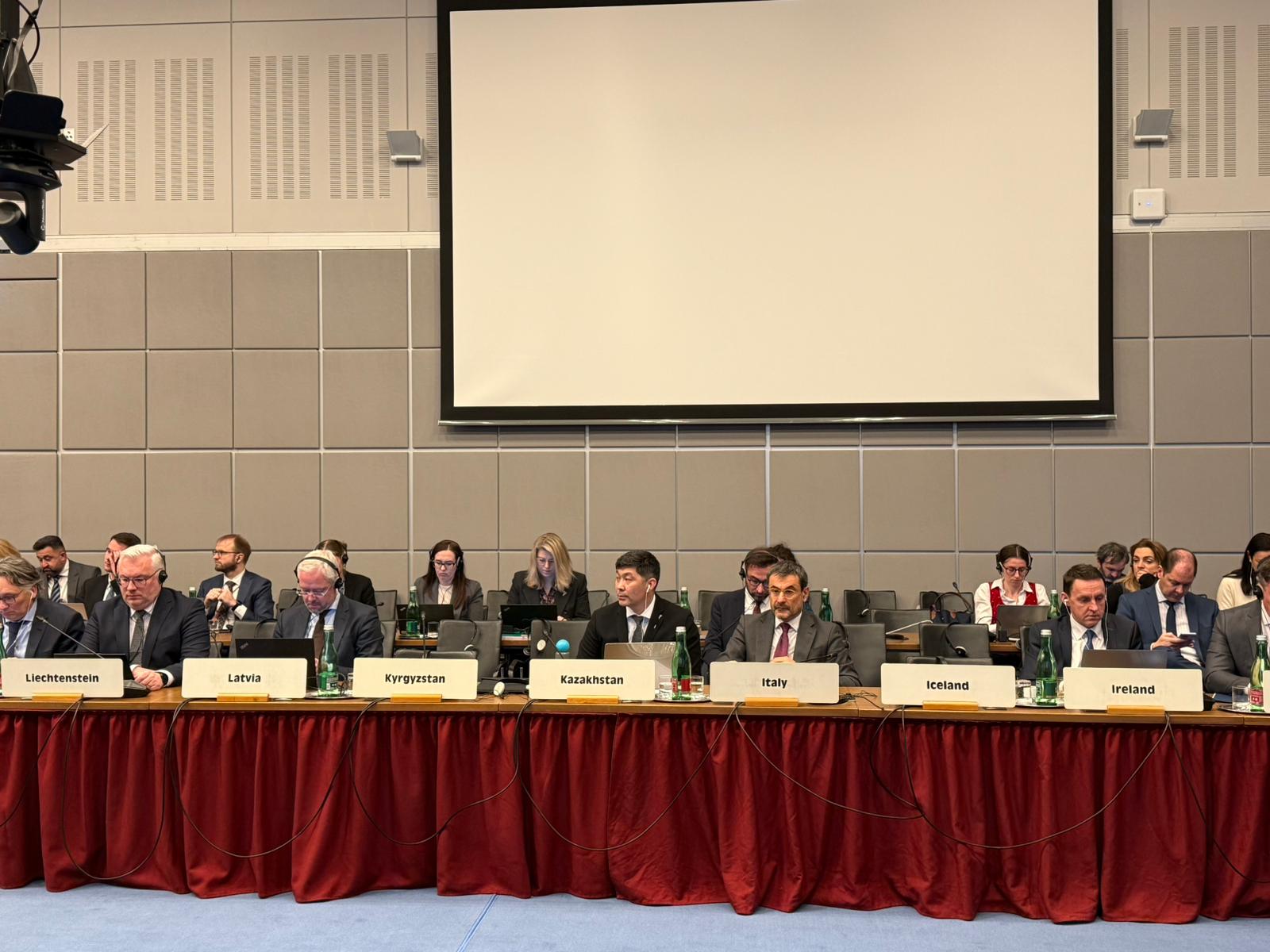 Қазақстандағы алдағы конституциялық реформалар ЕҚЫҰ-да таныстырылды