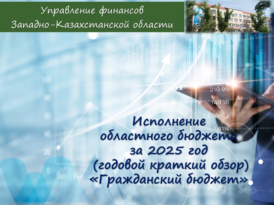 Гражданский бюджет за 2025 год (годовой краткий обзор)
