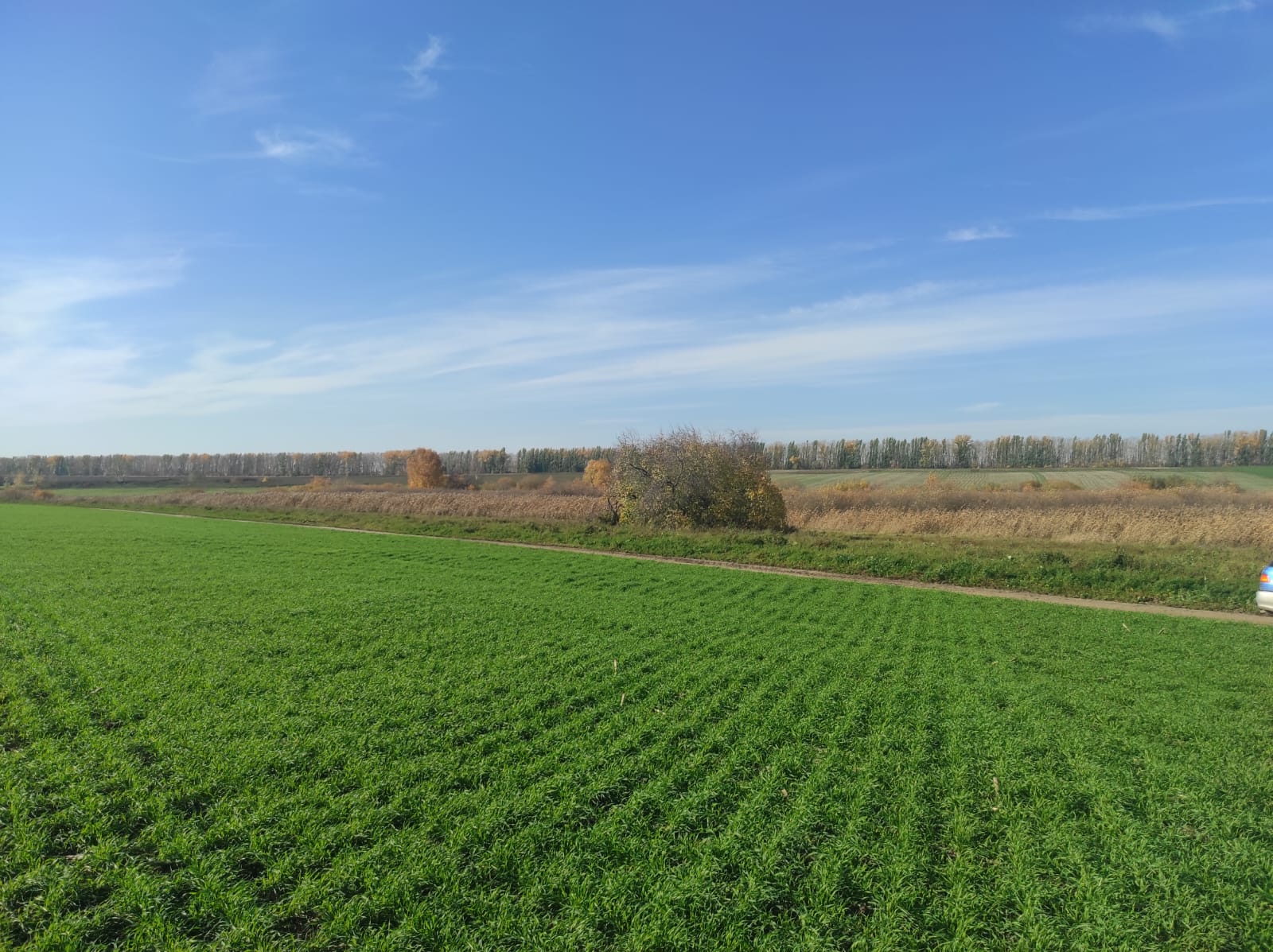 ШҚО-да ауыл шаруашылығы саласын дамытудың аймақтық стратегиясын әзірлеу ұсынылып отыр