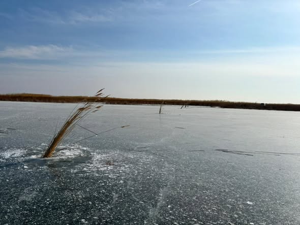 Прорубание лунок-эффективный способ избежать от гибели рыб