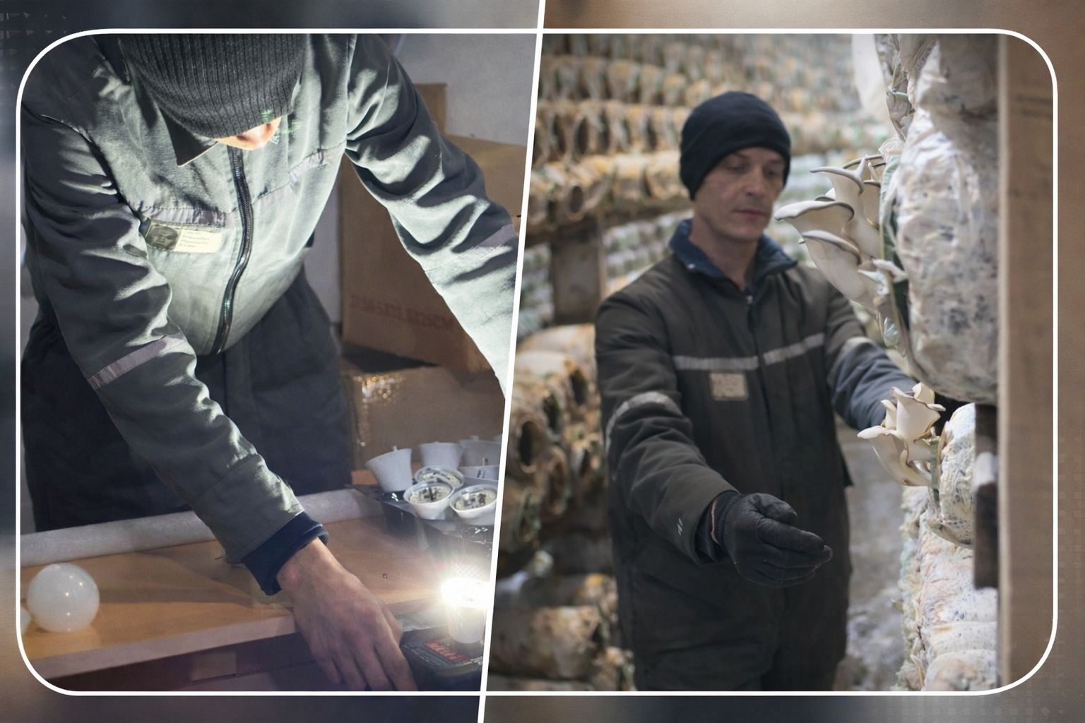 В колониях Карагандинской области осужденных активно привлекают к труду в рамках концепции "Закон и порядок".