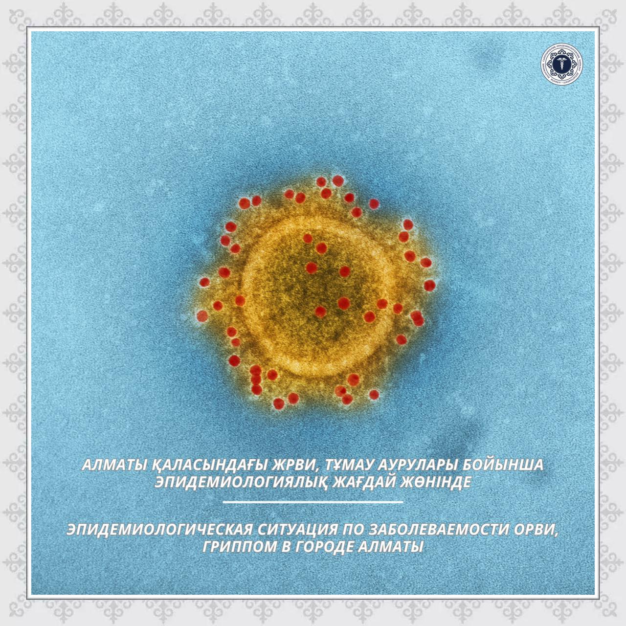 Алматы қаласындағы ЖРВИ, тұмау аурулары бойынша эпидемиологиялық жағдай жөнінде