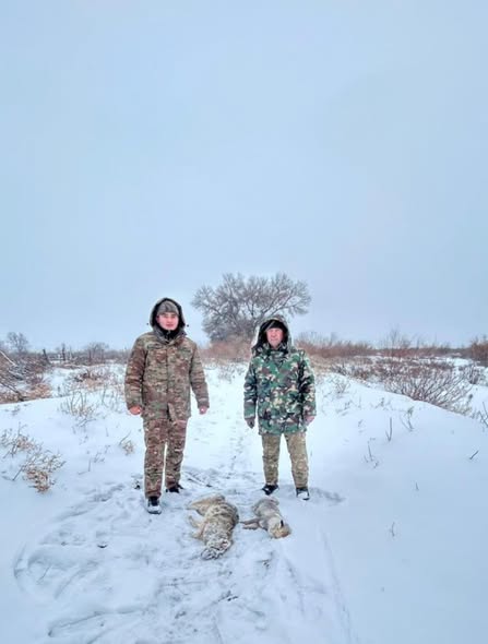 Продолжаются рейдовые мероприятия на вольчих зверей