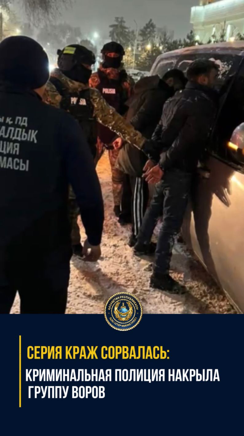 В Алматы ликвидирована группа «домушников»