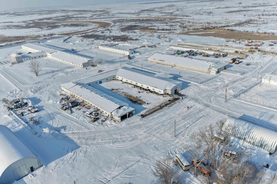 Аким области ознакомился с деятельностью крестьянских хозяйств в Бескарагайском районе