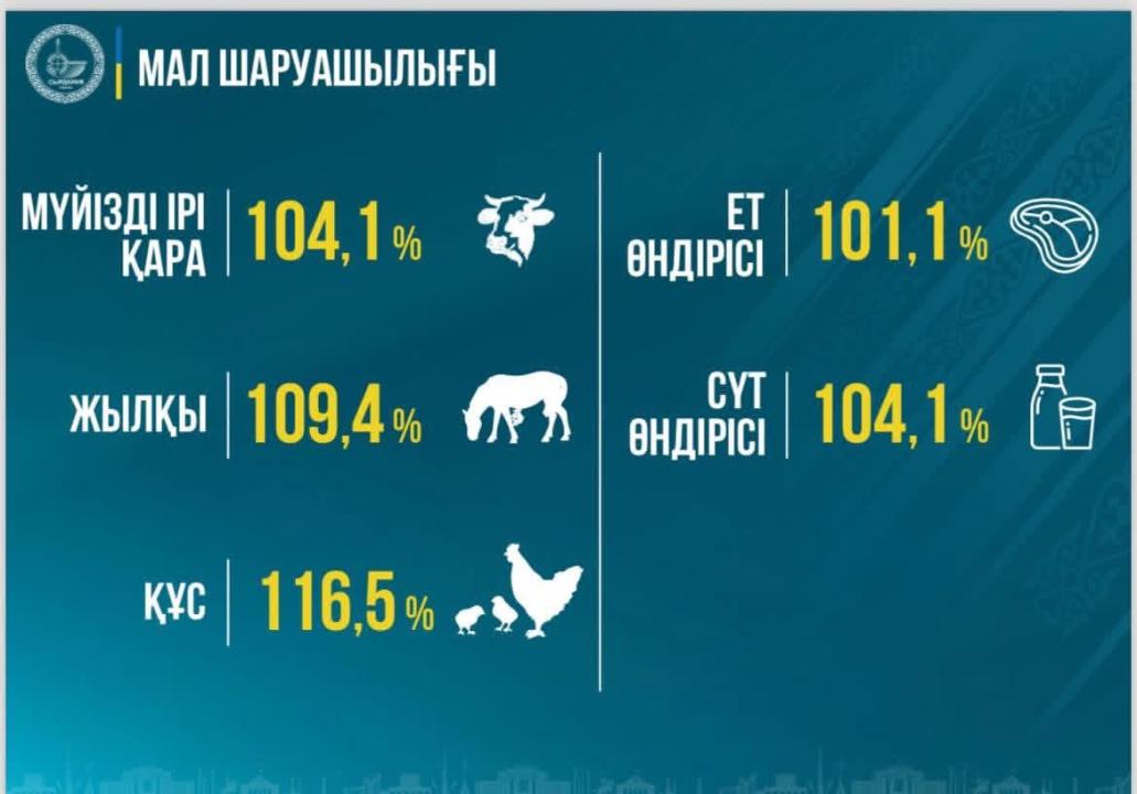 Сырдария ауданында ауыл шаруашылыңы өнімінің көлемі 122 мың тоннаға жетті
