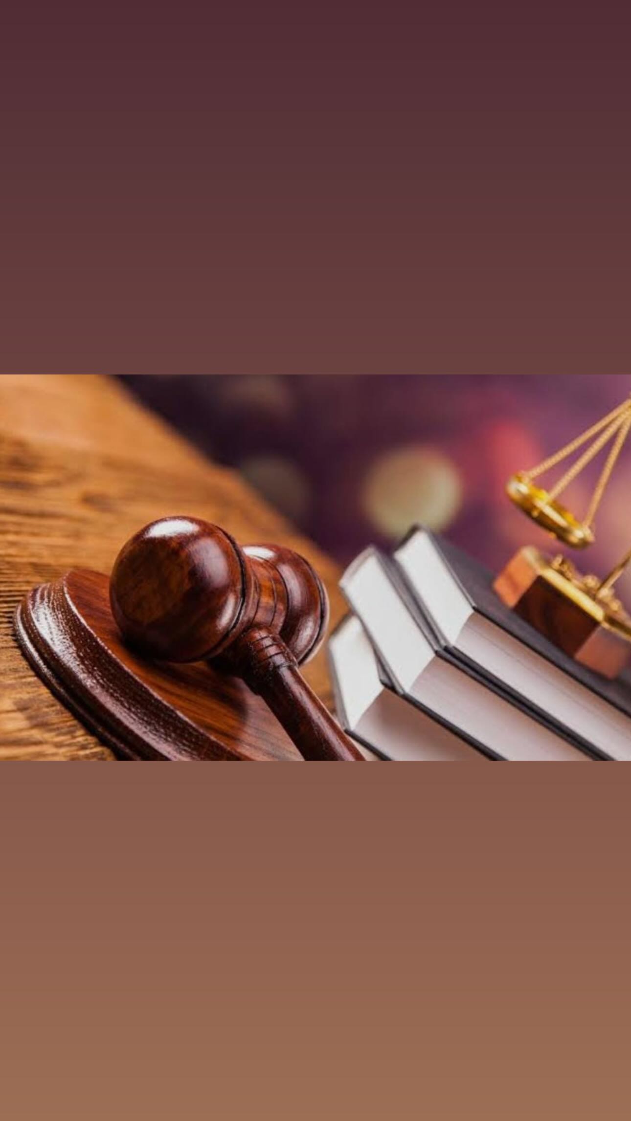 Дисциплинарная ответственность частных судебных исполнителей