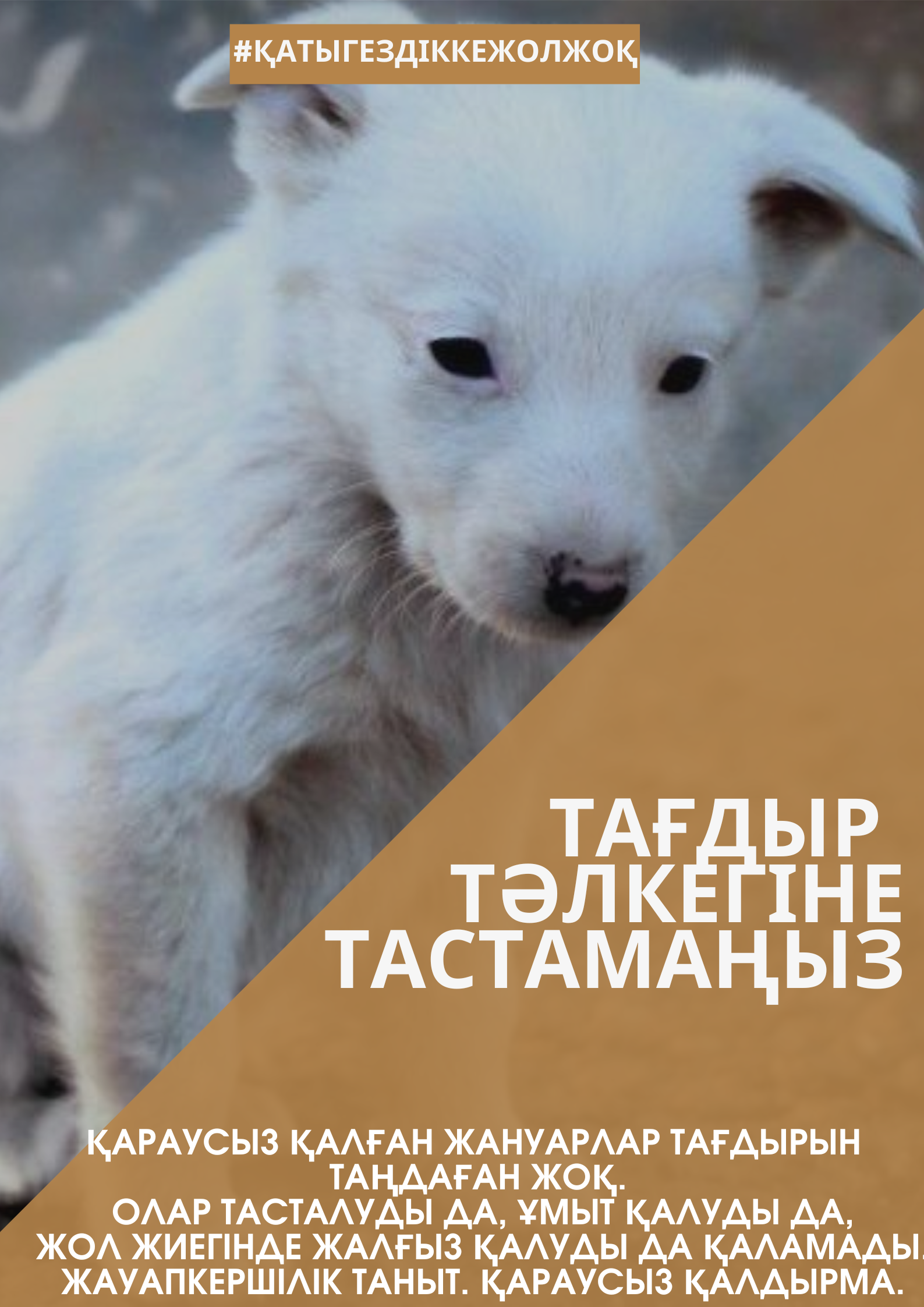 Үй жануарларын тастамаңыз!